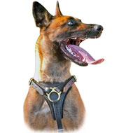 Padded Adjustable Leather Malinois Harness for Tracking And Walking  Padded Adjustable Leather Malinois Harness for Tracking And Walking