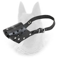 Belgian Malinois Leather Dog Muzzle for Everyday Walking  Belgian Malinois Leather Dog Muzzle for Everyday Walking