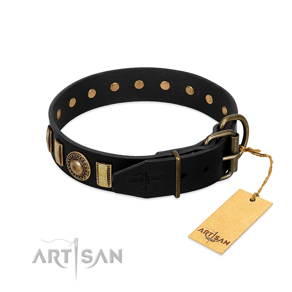 Top notch full grain natural leather dog collar with embellishments