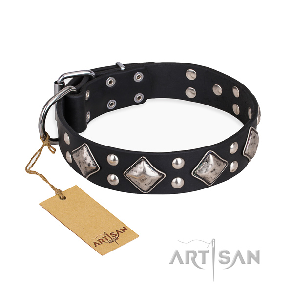 Daily walking studded dog collar with durable traditional buckle
