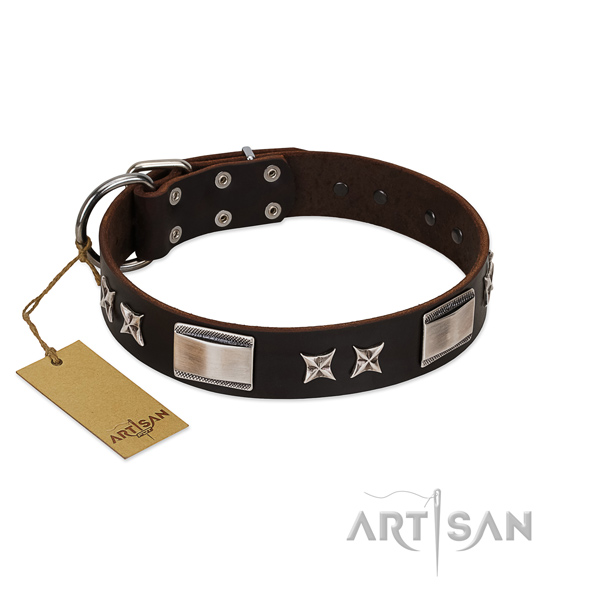 Perfect fit dog collar of leather