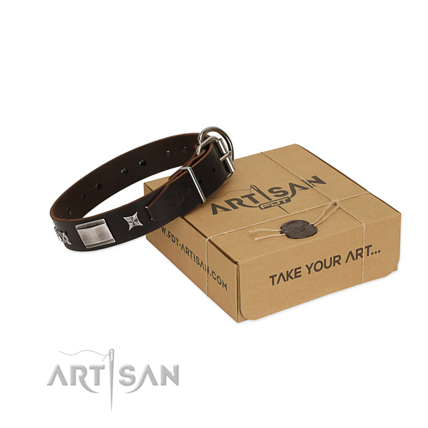 Easy wearing collar of full grain natural leather for your impressive pet