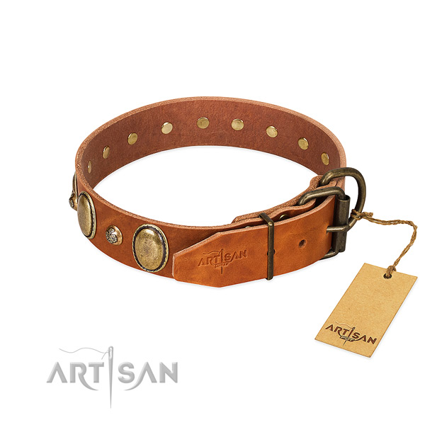 Remarkable natural leather dog collar with corrosion proof buckle