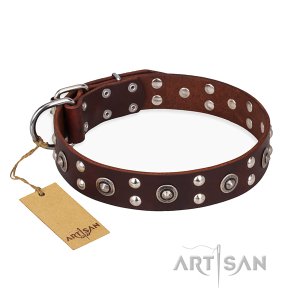 Walking embellished dog collar with rust resistant fittings