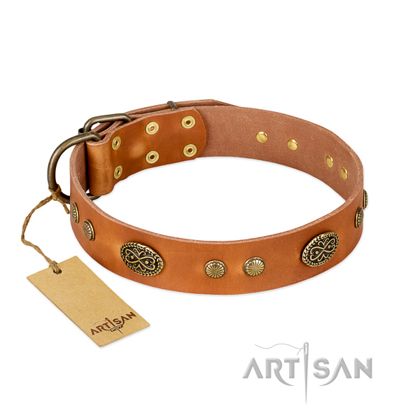 Durable traditional buckle on full grain leather dog collar for your canine