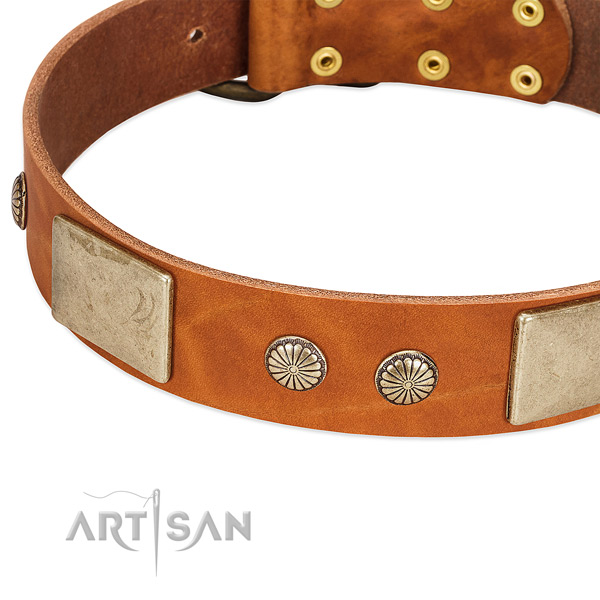 Strong D-ring on full grain leather dog collar for your pet