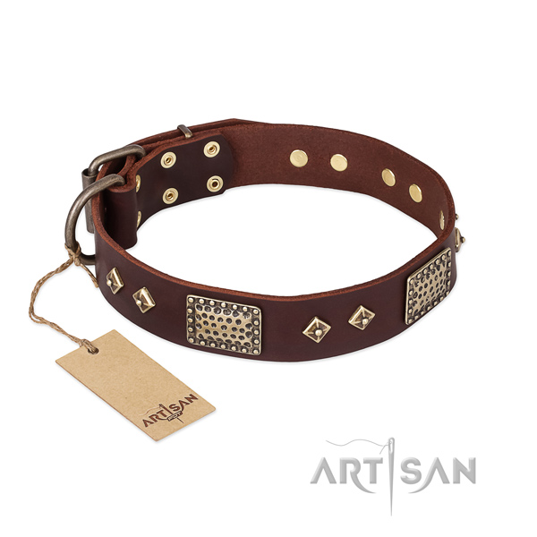 Embellished genuine leather dog collar for daily use