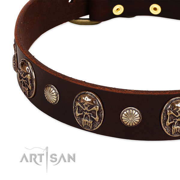 Genuine leather dog collar with studs for walking