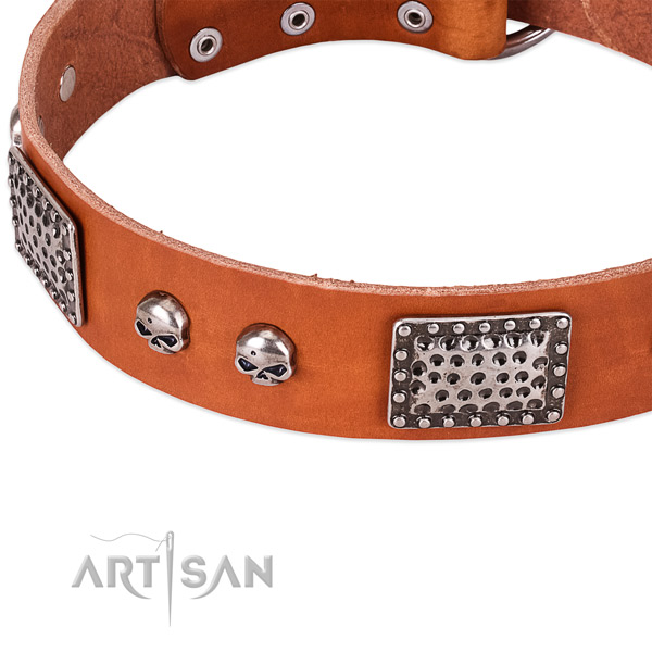 Corrosion proof decorations on leather dog collar for your dog
