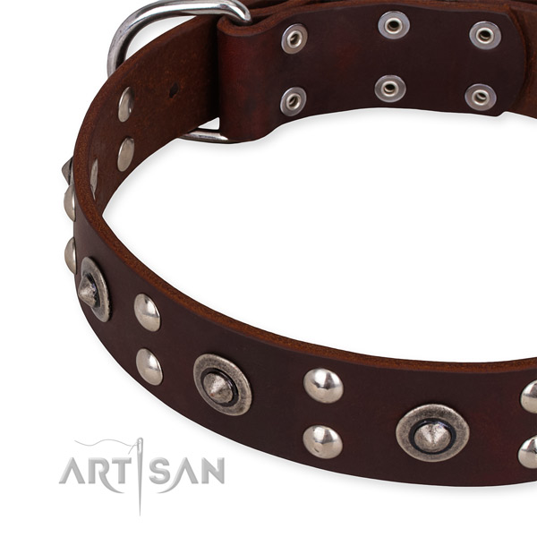 Genuine leather collar with strong traditional buckle for your attractive four-legged friend