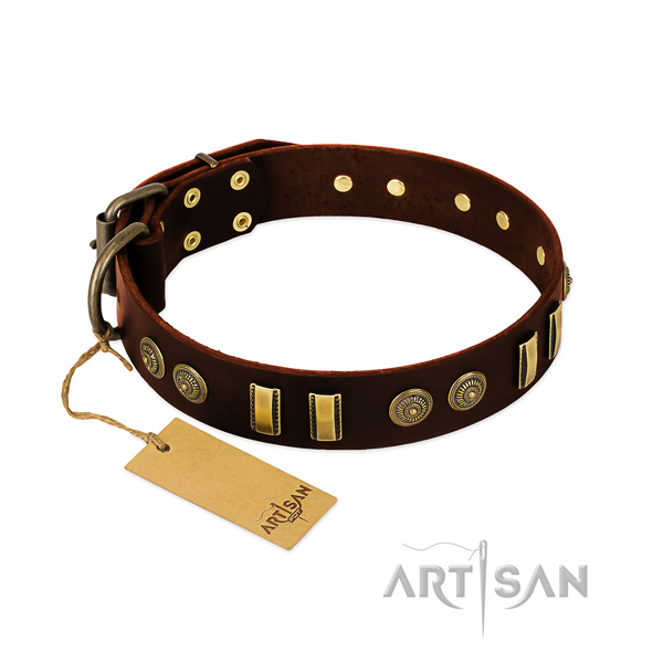 Reliable decorations on natural leather dog collar for your dog