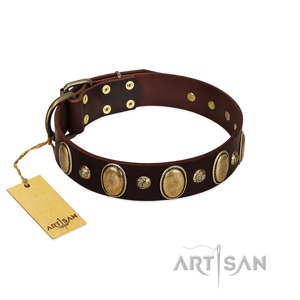 Natural leather dog collar of best quality material with amazing decorations
