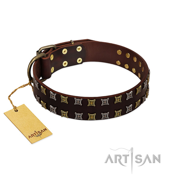 Quality full grain natural leather dog collar with studs for your doggie