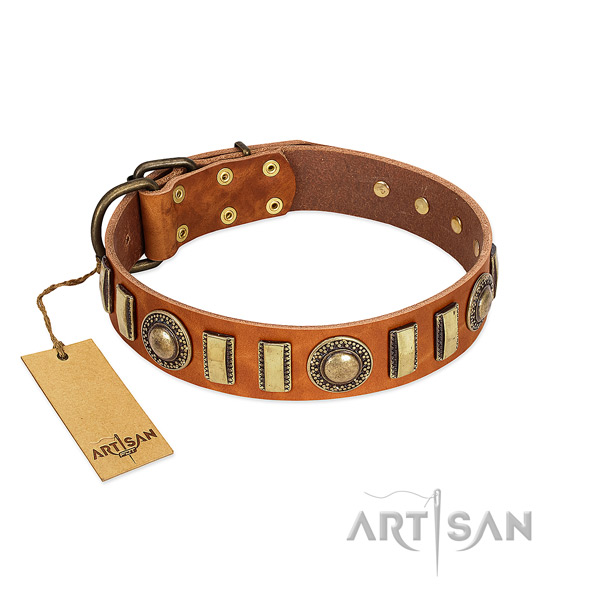Unique full grain natural leather dog collar with corrosion proof traditional buckle