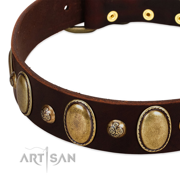 Full grain natural leather dog collar with stylish adornments