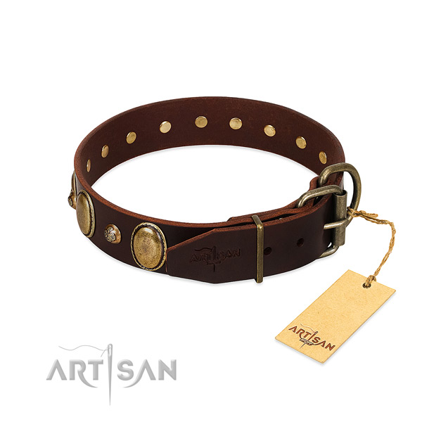 Corrosion proof traditional buckle on full grain genuine leather collar for basic training your pet