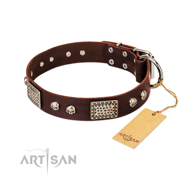 Easy adjustable leather dog collar for stylish walking your canine