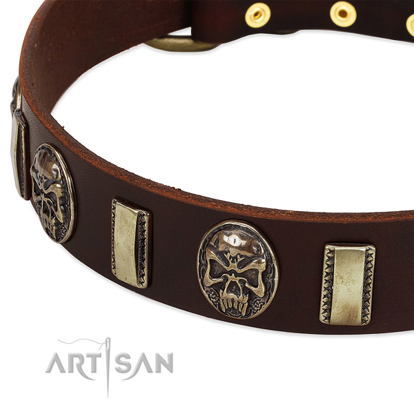 Rust-proof traditional buckle on full grain natural leather dog collar for your canine