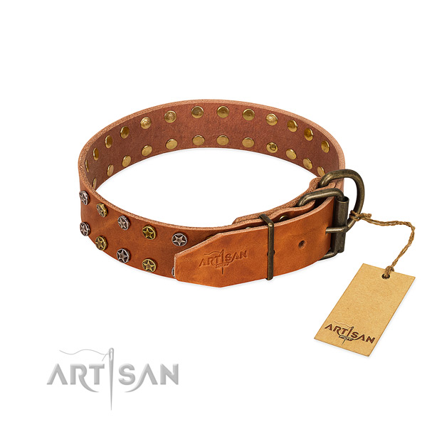 Easy wearing natural leather dog collar with amazing studs