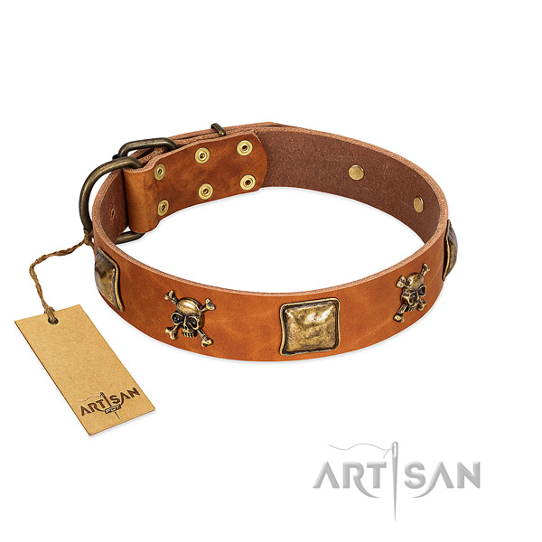 Exquisite full grain natural leather dog collar with reliable embellishments