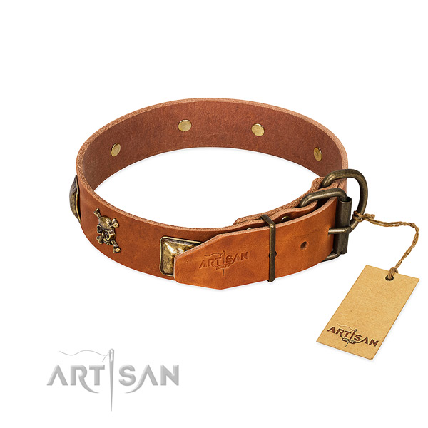 Remarkable leather dog collar with durable studs