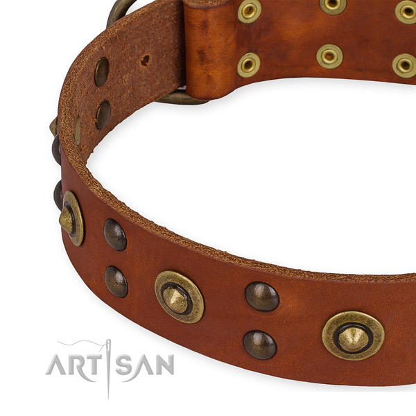 Genuine leather collar with rust resistant fittings for your lovely pet