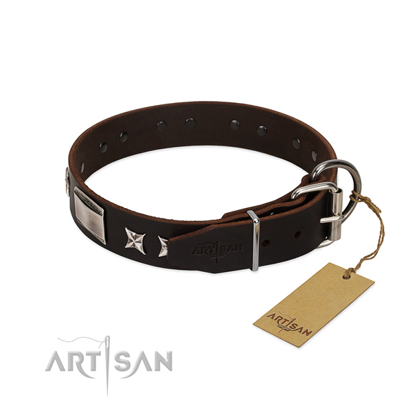 Unique collar of leather for your beautiful canine