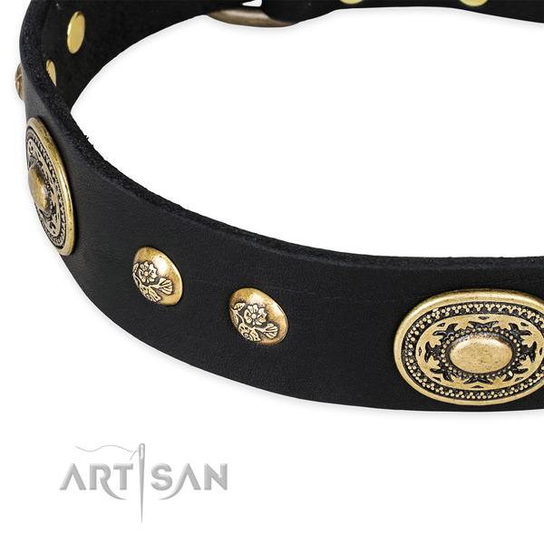 Exquisite leather collar for your handsome canine