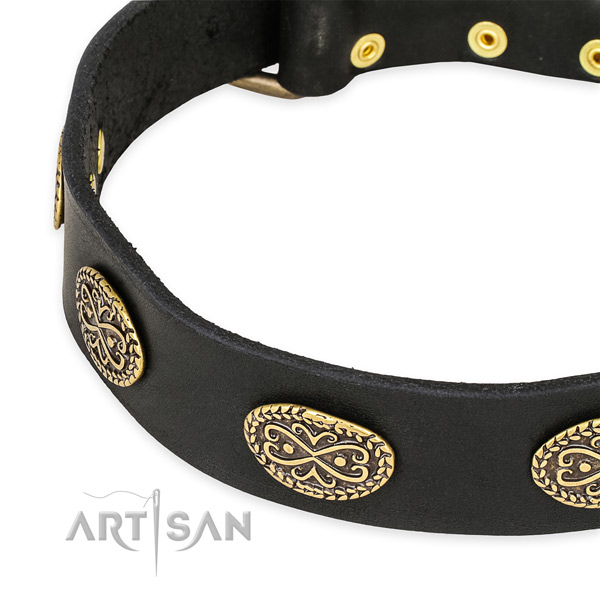 Studded full grain natural leather collar for your beautiful pet