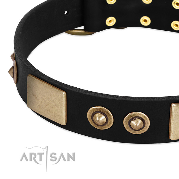 Strong embellishments on full grain genuine leather dog collar for your canine