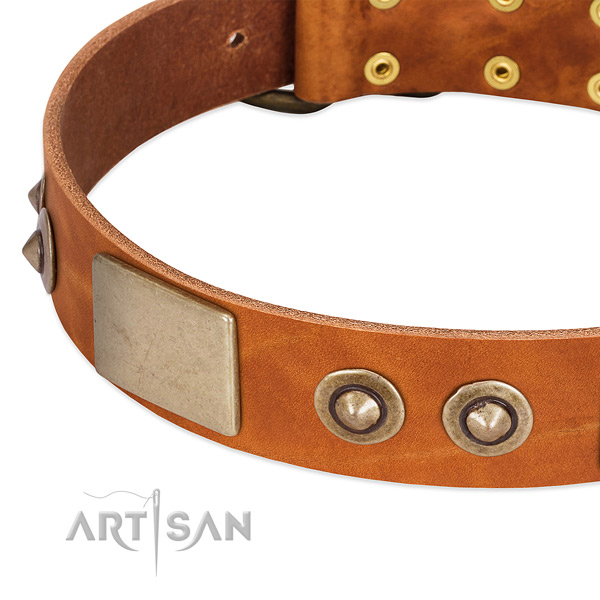 Rust-proof adornments on full grain genuine leather dog collar for your canine