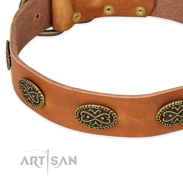 Amazing genuine leather collar for your stylish canine