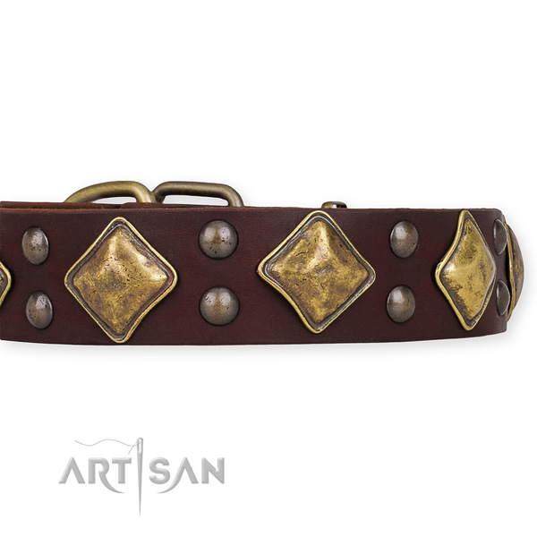 Genuine leather dog collar with designer corrosion proof embellishments