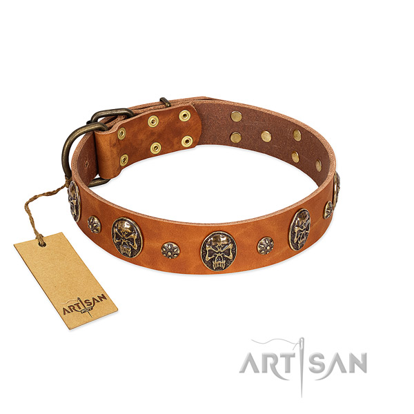 Incredible leather collar for your canine