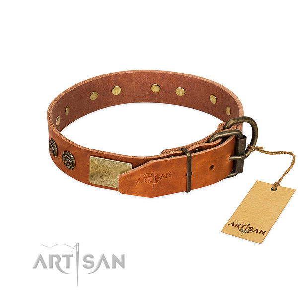 Strong hardware on full grain leather collar for fancy walking your dog
