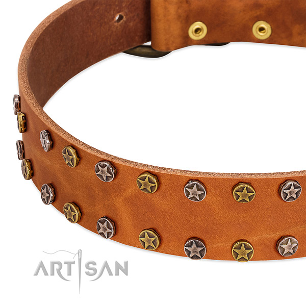 Everyday walking full grain genuine leather dog collar with extraordinary decorations