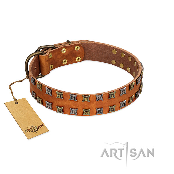 Durable full grain genuine leather dog collar with embellishments for your four-legged friend