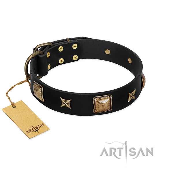 Leather dog collar of gentle to touch material with impressive embellishments