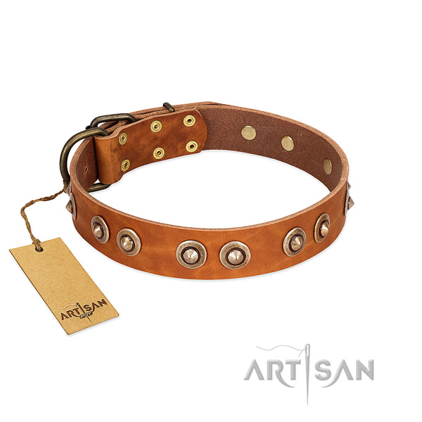 Reliable traditional buckle on genuine leather dog collar for your four-legged friend