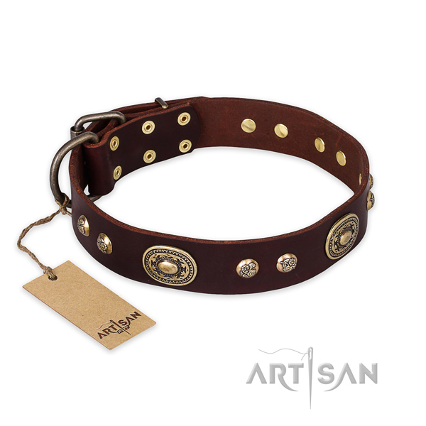 Awesome natural leather dog collar for basic training