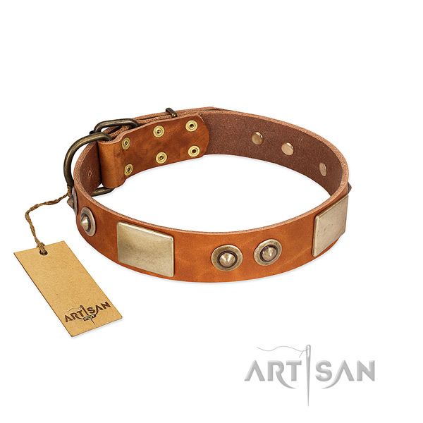 Easy wearing full grain natural leather dog collar for everyday walking your canine