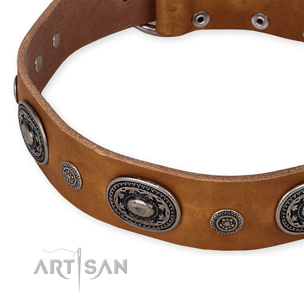 Durable full grain genuine leather dog collar handmade for your handsome dog