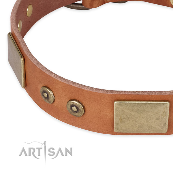 Rust-proof decorations on full grain natural leather dog collar for your four-legged friend