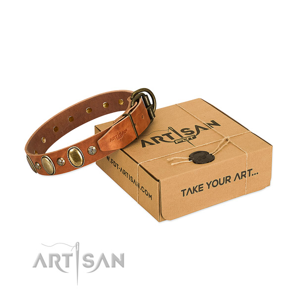 Top notch full grain leather dog collar with rust-proof D-ring