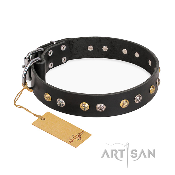 Daily use exceptional dog collar with strong buckle