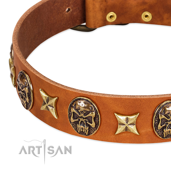 Rust-proof traditional buckle on leather dog collar for your doggie