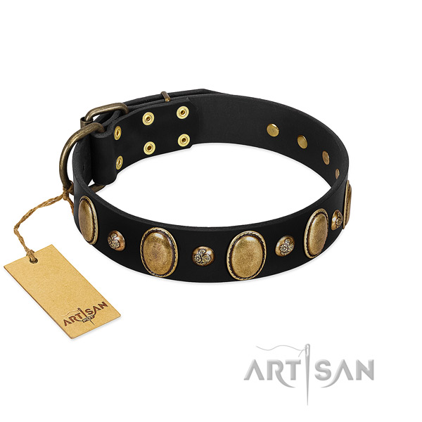 Leather dog collar of top notch material with amazing decorations