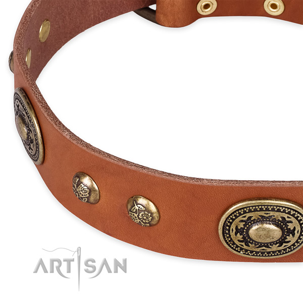 Decorated leather collar for your handsome pet