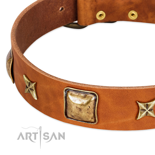 Rust-proof embellishments on full grain genuine leather dog collar for your four-legged friend