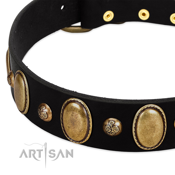 Leather dog collar with unusual adornments